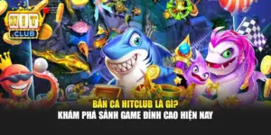 Bắn Cá Hitclub Là Gì? Khám Phá Sảnh Game Đỉnh Cao Hiện Nay